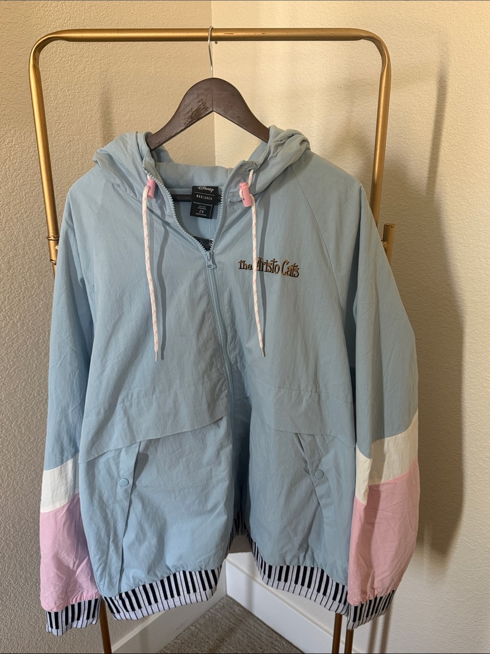 Disney Box Lunch Light Blue/ Pink Hooded Jacket The Aristocats 2XL